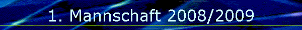 1. Mannschaft 2008/2009