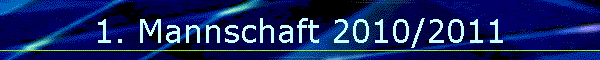 1. Mannschaft 2010/2011