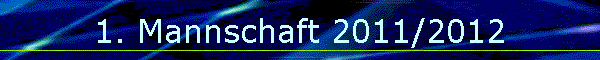 1. Mannschaft 2011/2012
