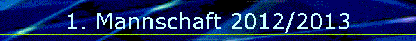 1. Mannschaft 2012/2013