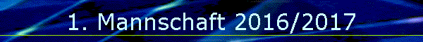 1. Mannschaft 2016/2017
